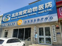 -北京观赏动物医院·24小时大型综合·猫专科·异宠专科
