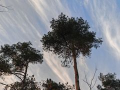 -南京金牛湖风景区