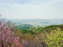 -北京西山国家森林公园