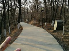-高尔山公园