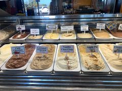 -Dooley's Premium Ice Cream