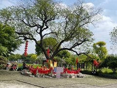 -嬉乐湾休闲旅游区