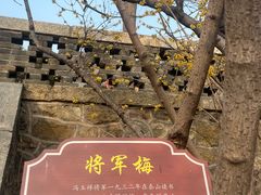 -泰山风景名胜区-普照寺