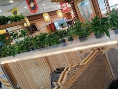 -大清花饺子(山庄店)