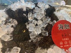 -日进一片海.生腌海鲜火锅.宵夜烧烤(三里屯总店)