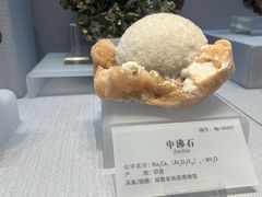 -湖南省地质博物馆