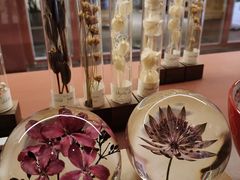 -二酉书店TOYOU BOOKS