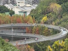 -福道