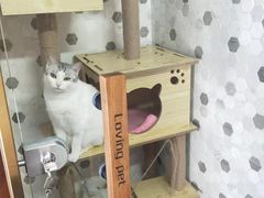 -宠爱国际动物医院·疑难骨科·心肾内科·皮肤科(太阳宫店)