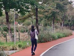 -上海长兴岛郊野公园