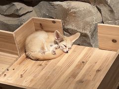 -绿色星球动物主题公园