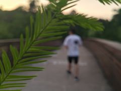 -昆山城市生态森林公园