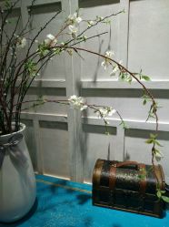 -星豆豆儿童摄影(南郊太白南路店)