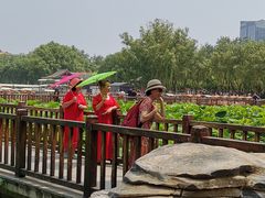 -莲花池公园