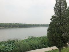 -素心小筑(后沙裕镇店)