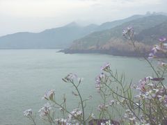-枸杞岛
