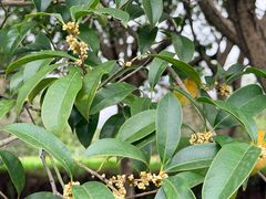 -白塘生态植物园