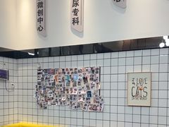 -半岛宠物医院24小时(科华中路店)