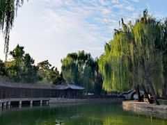 -团结湖公园