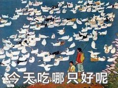 -澳洲牛奶公司(佐敦店)