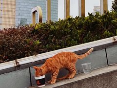 -UNIUNI(凯瑟琳广场店)