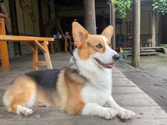 -乌村