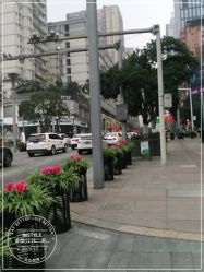 -IP SALON