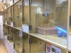 -屋虎猫馆(宝安大仟里店)