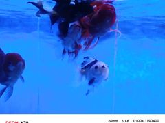 -悠然湯·汗蒸汤泉会馆