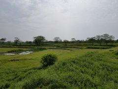 -盘龙城国家考古遗址公园