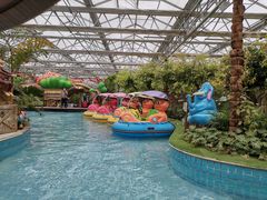 -南宫五洲植物乐园