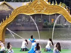 -西双版纳原始森林公园