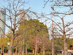 -二沙岛艺术公园