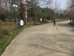 -蜀冈西峰生态公园