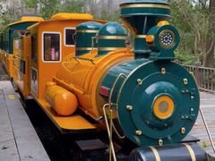 -合肥滨湖国家森林公园