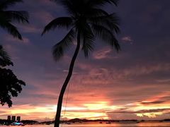 -Mr. 99 Steak and Seafood Restaurant