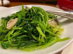 -广州富力君悦大酒店空中花园