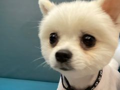 -川香煲(茅台路店)