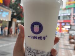 -一只酸奶牛(八一路店)
