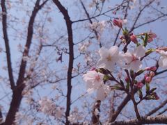 -西北湖绿化广场