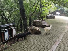 -虞山风景区