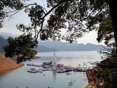 -酒仙湖景区