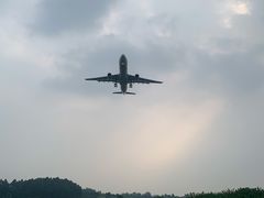 -空港花田景区