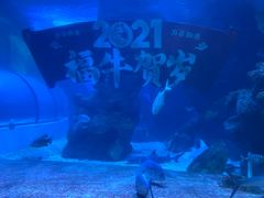 -左海海底世界