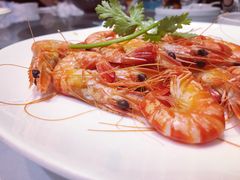 -沪碟·精菜坊(闵行店)