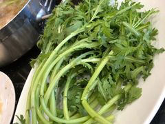 -蝎王府羊蝎子(北大地店)