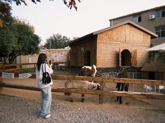 -HERRE·FARM 赫尔露营农场·团建聚会包场