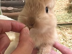 -龙猫仔乐园(惠福东路店)