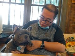 -more than meow吴止猫主题餐厅(承德 中船汇店)