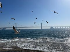 -星海湾跨海大桥